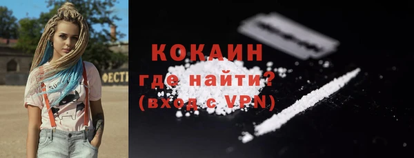 прущие грибы Нижний Тагил