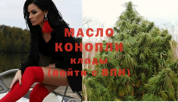 соль ск Кукмор