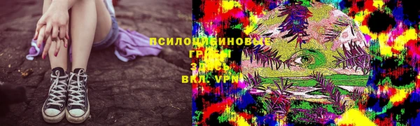 соль ск Кукмор