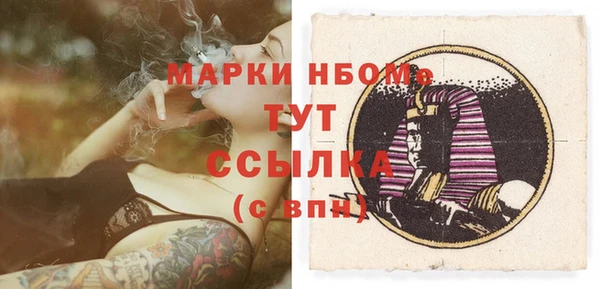соль ск Кукмор