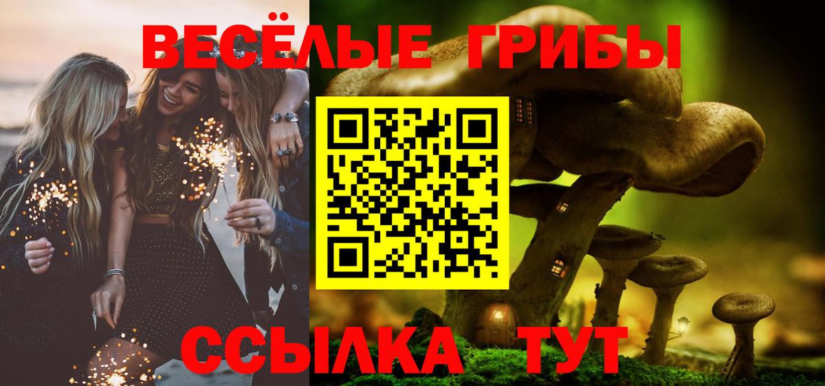 Псилоцибиновые грибы ЛСД Комсомольск-на-Амуре