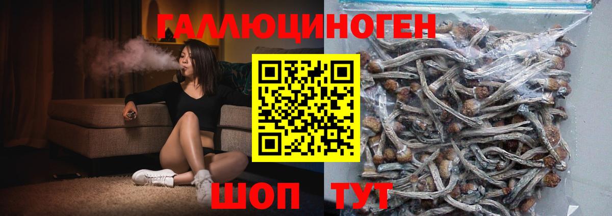 Бошки Шишки  Меф МЯУ МЯУ  Cocaine  АМФ   МЕФ кристаллы  Кетамин  Комсомольск-на-Амуре  Вход с VPN  Кодеин  Гашиш  MDMA 